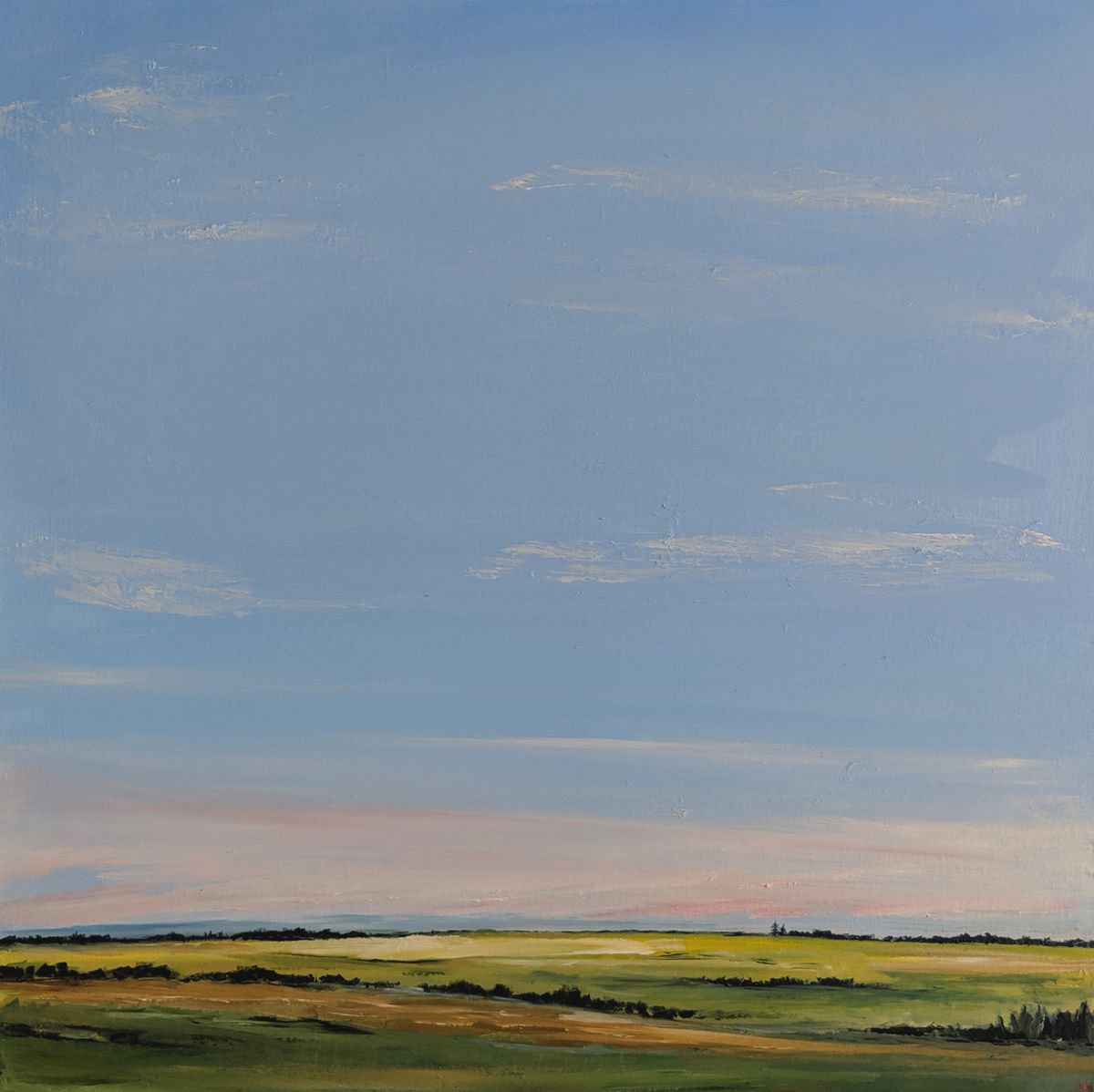 Blue sky landscape by Jo Earl