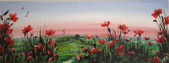 Red poppies in a green field