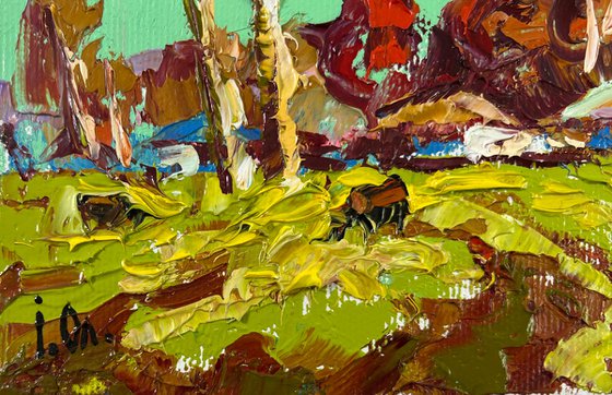 Spring fields
