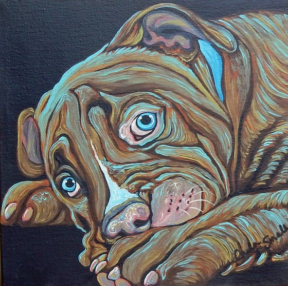 Pit Bull Pet Dog Original Art Painting-8 x 8 Inches Stretched Canvas-Carla Smale