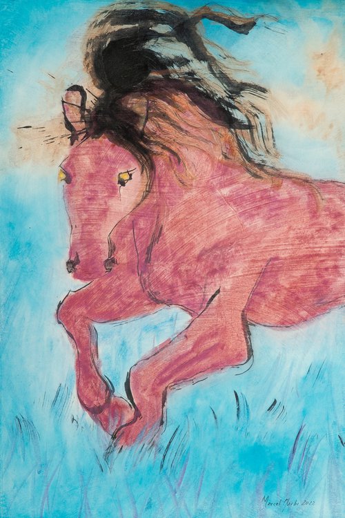 Wild horse by Marcel Garbi