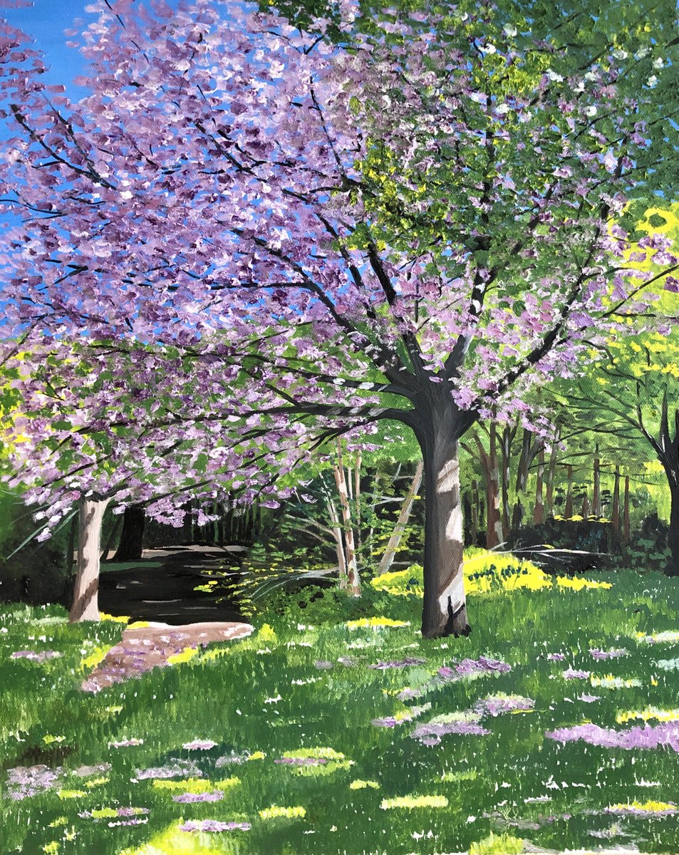 Cherry Blossom In Bloom By Maggie Jukes, 2 X 2, Artwork For Sale On Artfinder