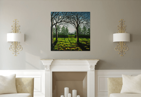 A field of Golden Daffodils