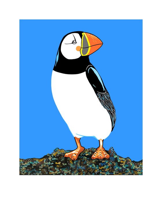 Atlantic Puffin (print)