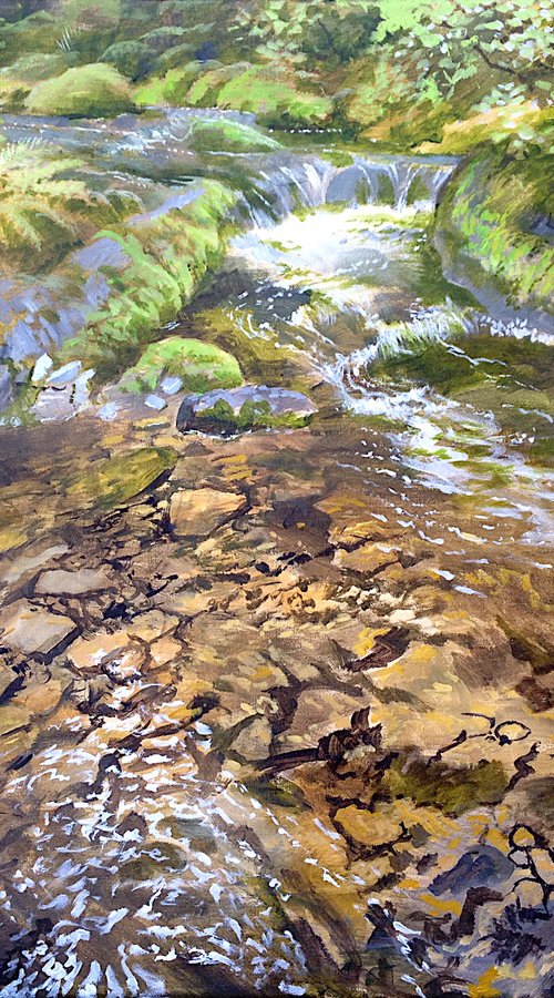 River Taw pool, Dartmoor by Daniel Loveday