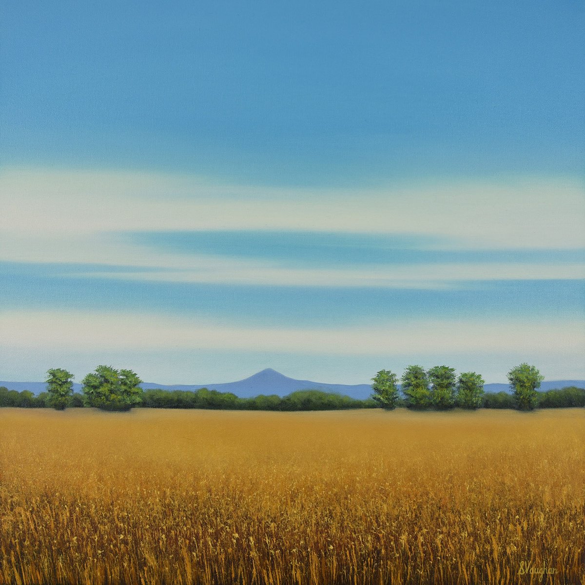 Impressionistic Landscape Oil Painting By Suzanne Vaughan, 20 X 20", Summer Wheat - Blue Sky Landscape, Original Artwork