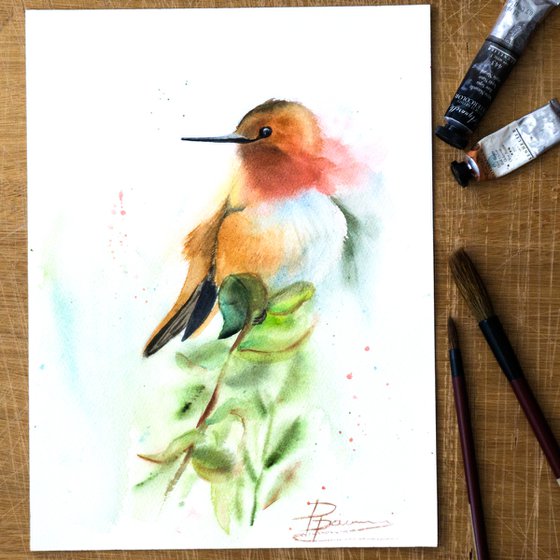 Hummingbird