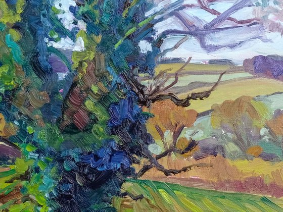 November Oak, Terrington