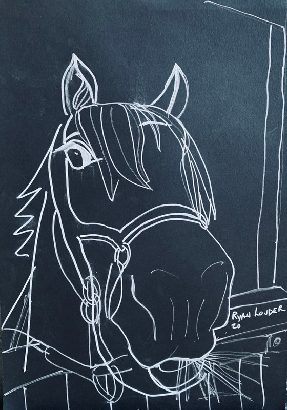 Horse Drawing