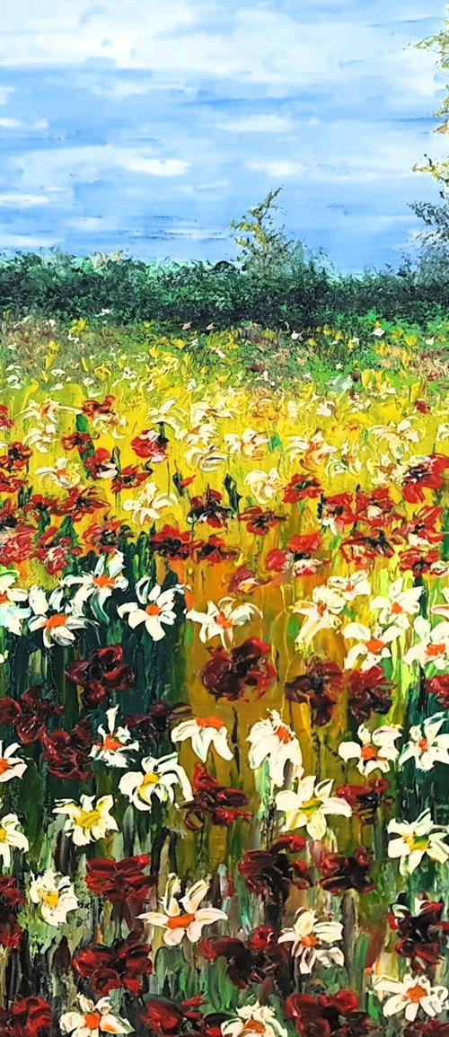 Colored meadow by Daniel Urbaník