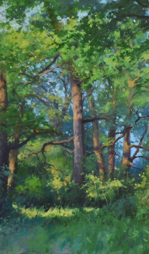 Morning in an oak grove by Ruslan Kiprych