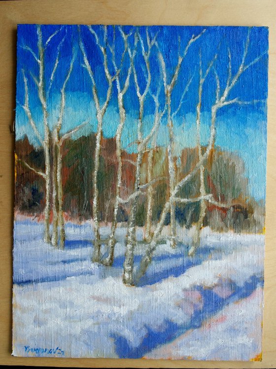 Winter Landscape