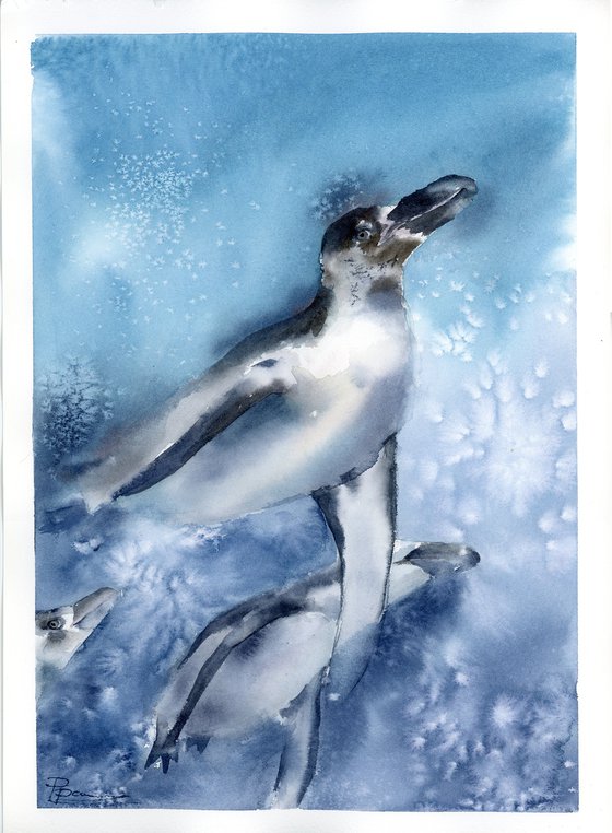 Penguins Underwater