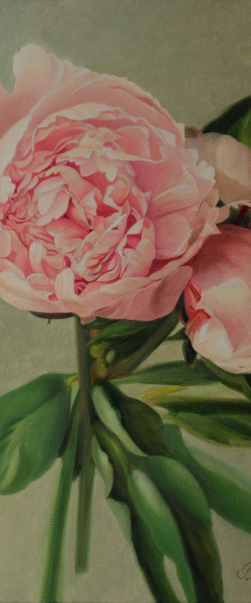 small bouquet of pink peonies by Julia Diven