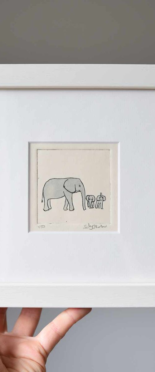 Elephants by Sally Fisher