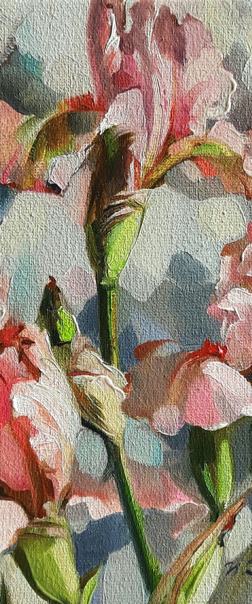 Irises ornament by Nataly Derevyanko