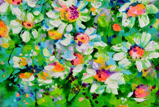 White Daisies Field