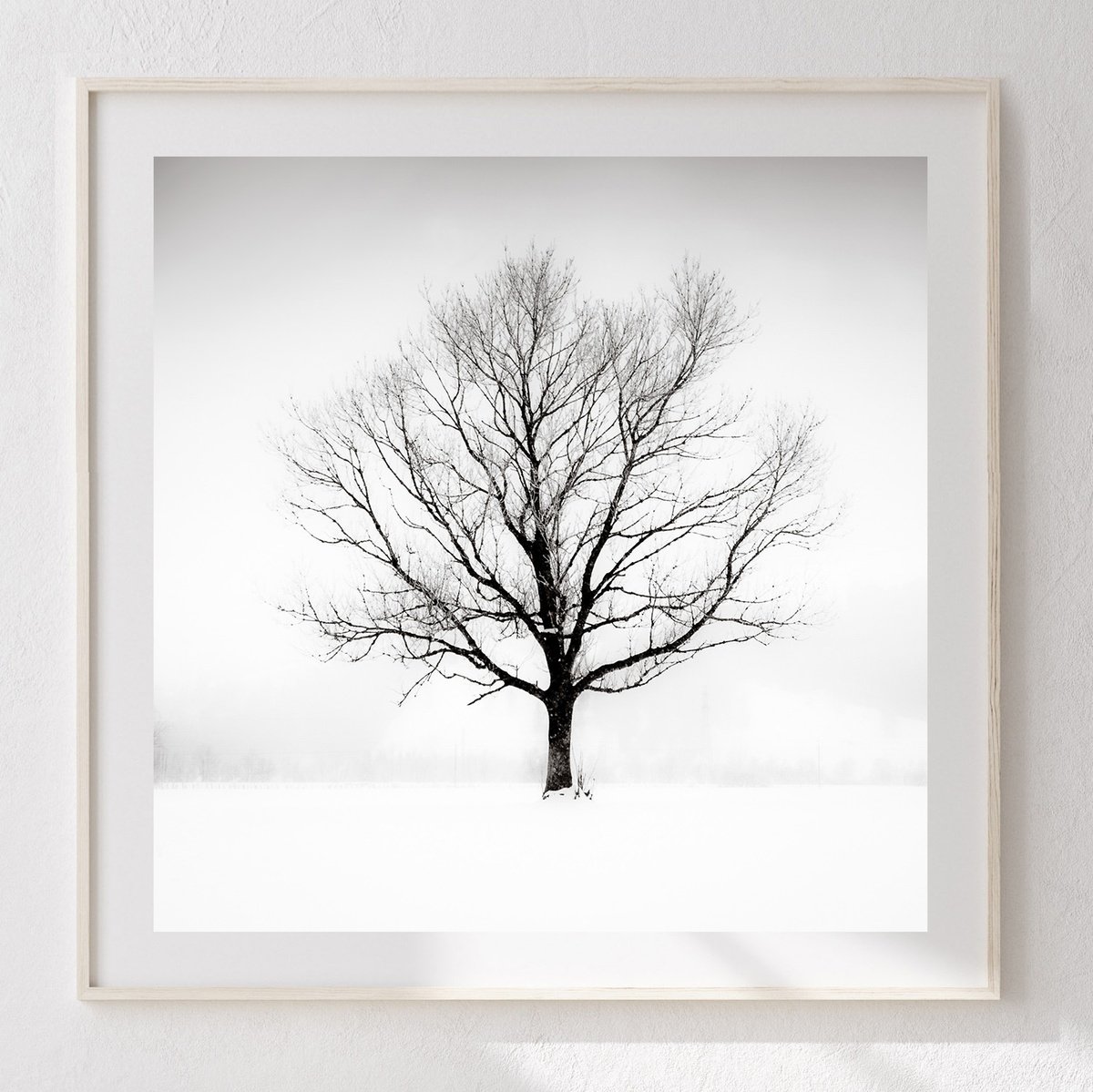 Impressionistic Landscape Photograph By Lynne Douglas, 24 X 24", Solitude In White, Original Artwork