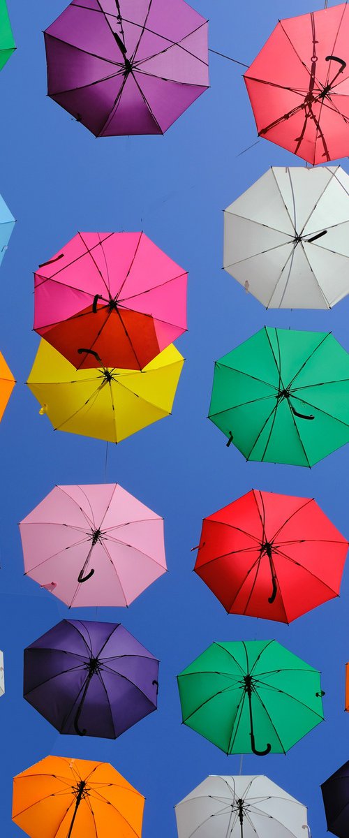 Rainbow Umbrellas by Abba Richman