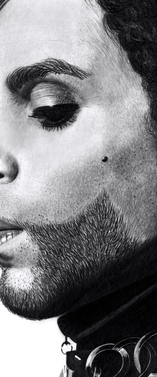 Prince by Paul Stowe