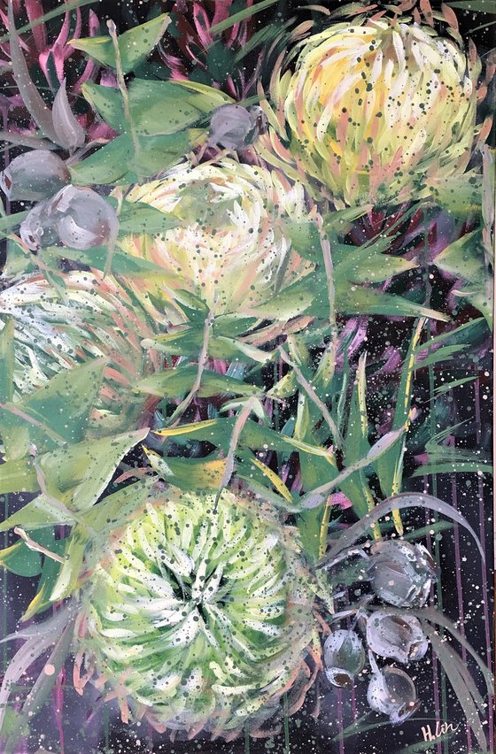 Something Vital Something New - Banksia baxteri, Gumnuts and Leucadendron By HSIN LIN