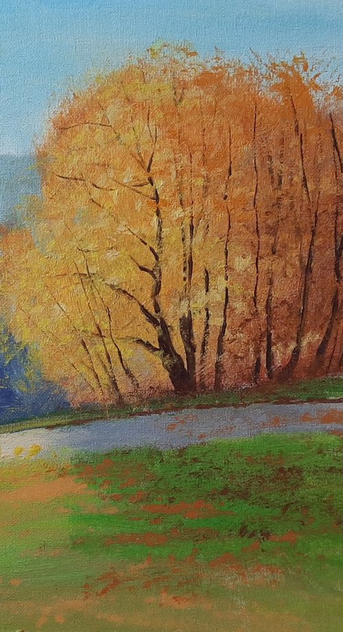 Autumn landscape by Alen Grbic