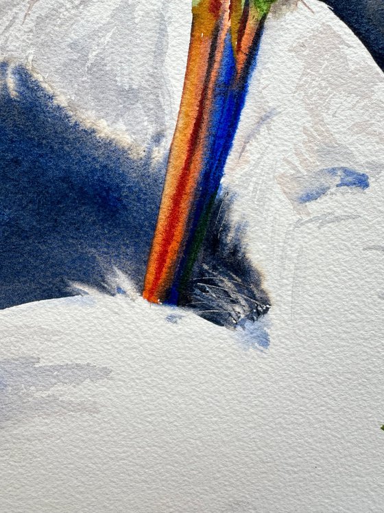 White Heron