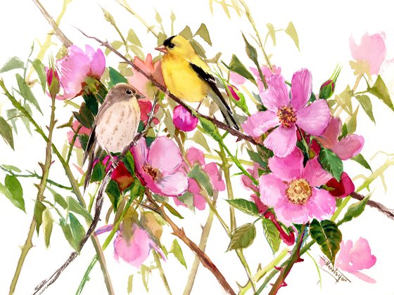 Goldfinch and Prairie Rose