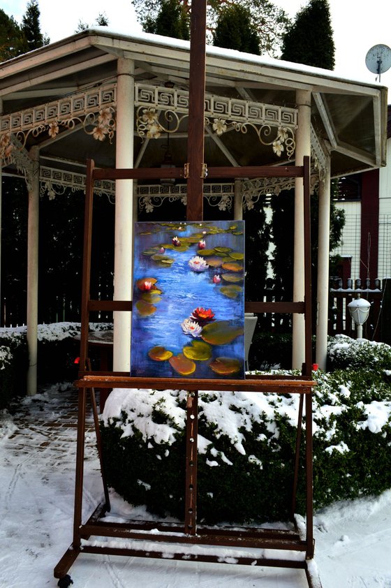 The Solar Rhythm: Water Lilies