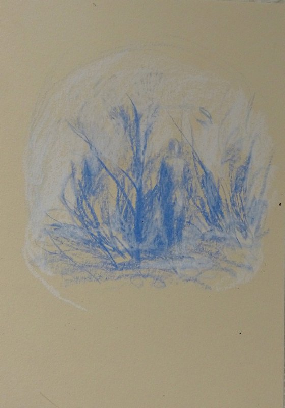The Forest