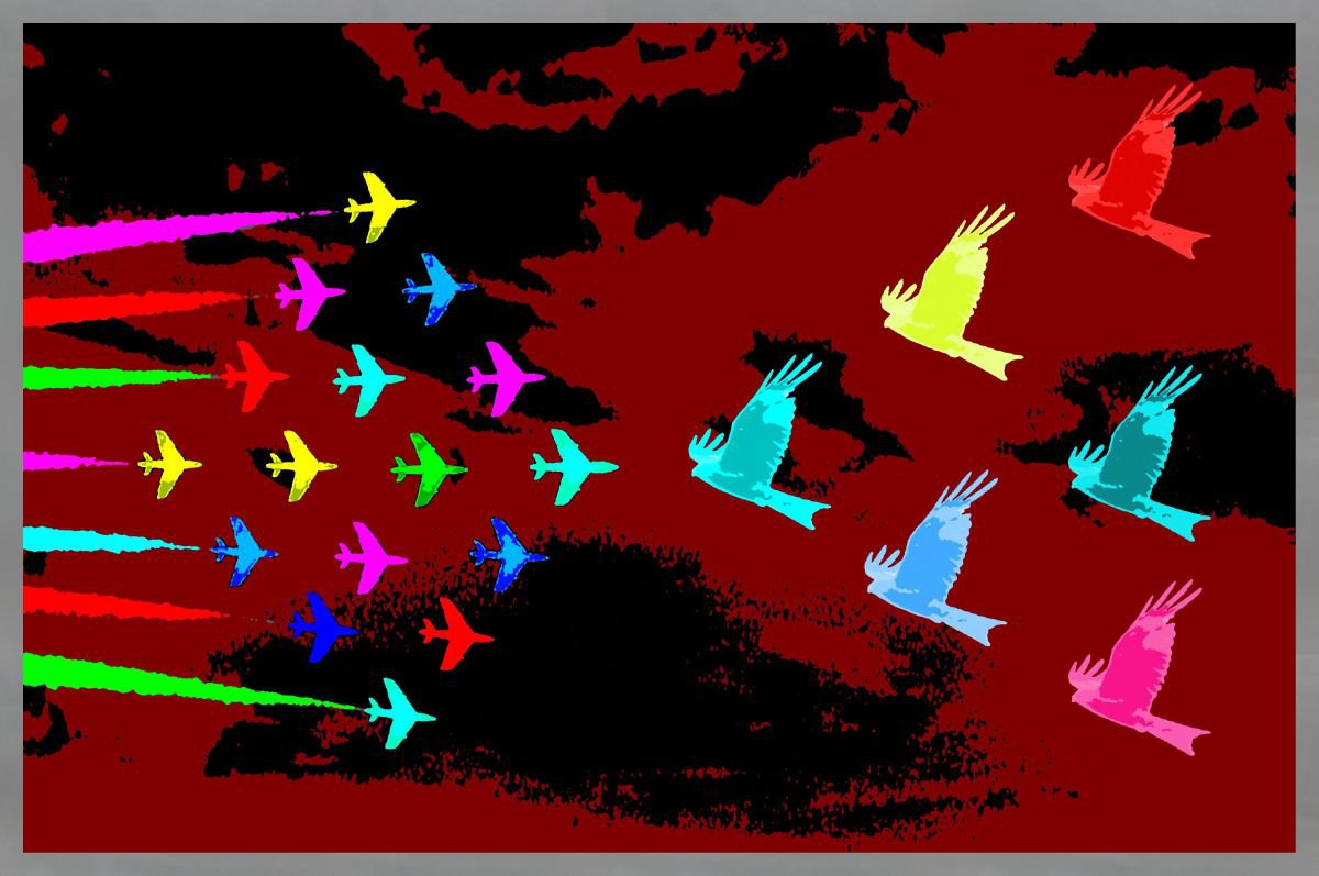Red Kites by Brian Kelvin