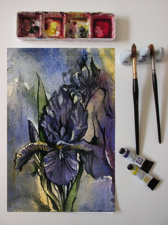 blue iris watercolor on hand-made paper