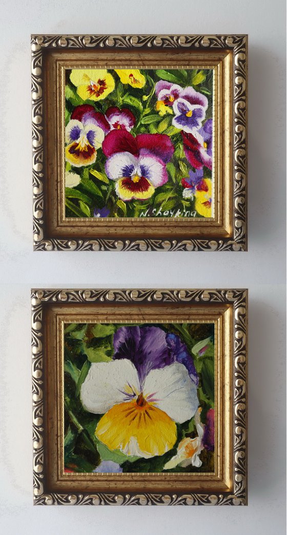 Framed Pansy Miniature Set