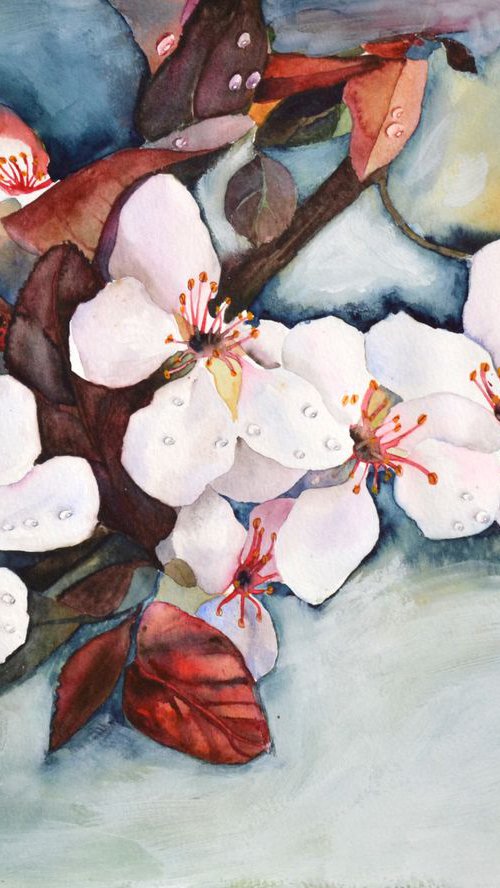 Red Plum Blossom by Anna Masiul-Gozdecka