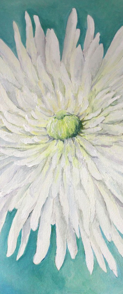 White Chrysanthemum  by Charlie Davies