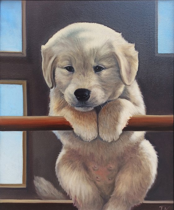 Doggy-5 (40x50cm, oil painting, ready to hang)