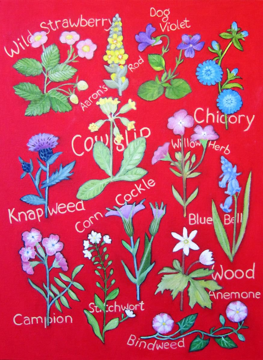 Tapestry of Wild Flowers by Sophie Colmer-Stocker