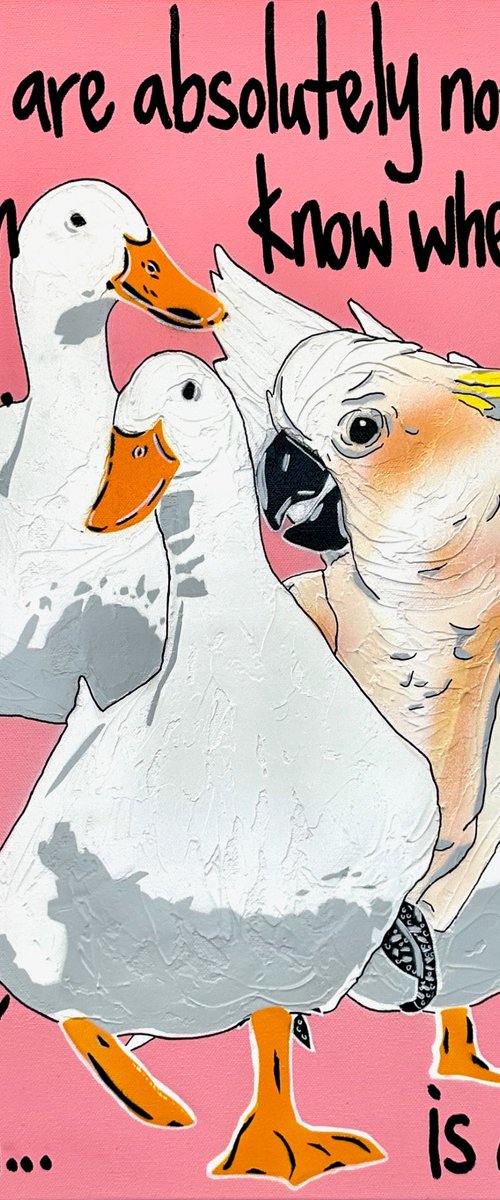 Ducks in a Row Pink Cockatoo 61cm x 61cm by DEBORAH LANG