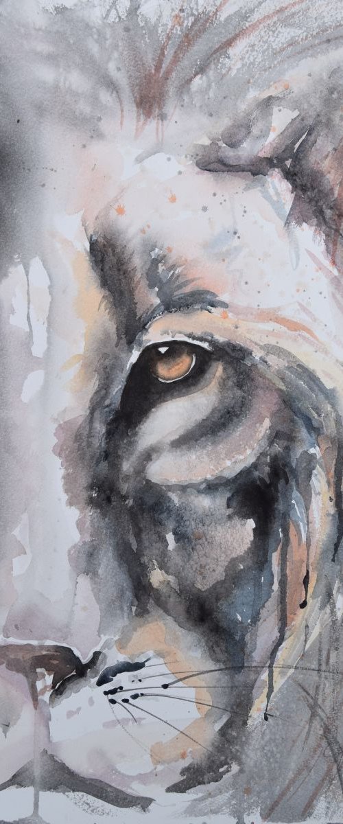'Hiding Lion' by Nicola Colbran