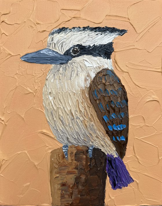 Kookaburra on a stump