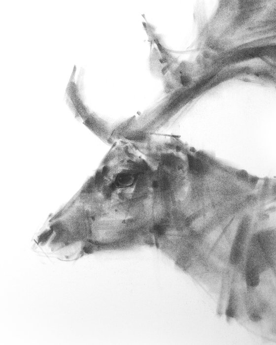 stag I