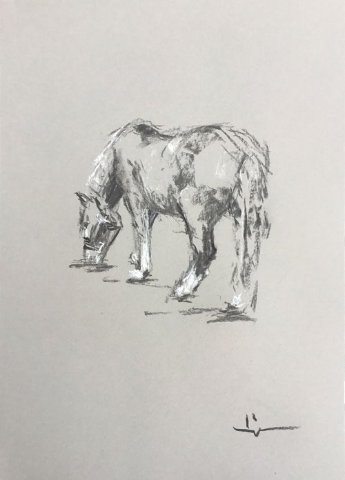 Horse Study 4 by Dominique Dève