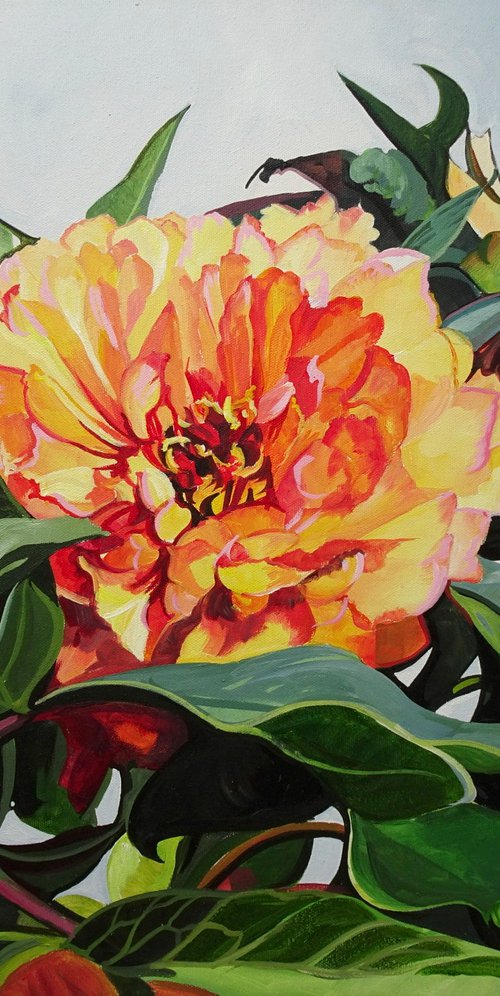 Tree Peony At Rowallane by Joseph Lynch