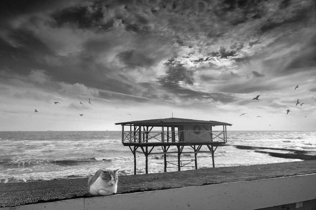 Photorealistic Landscape Photograph By Valerix, 24 X 16", Out Of Season., Original Artwork