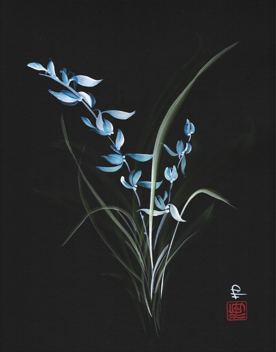 Midnight Orchid
