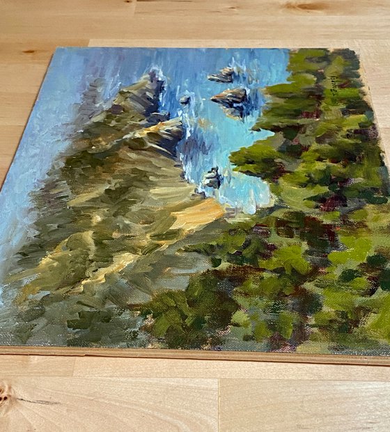 Big Sur Plein Air Seascape