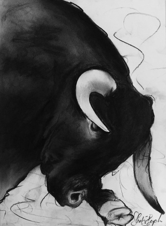 CHARCOAL BULL