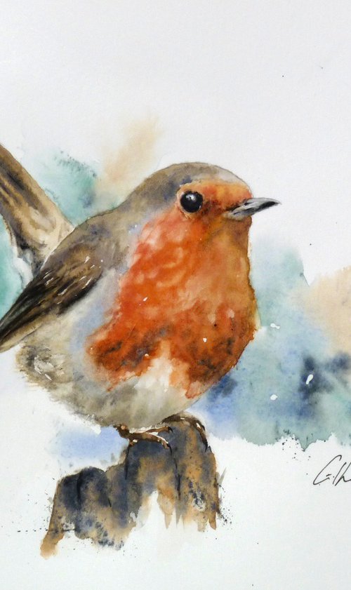 Robin by Graham Kemp