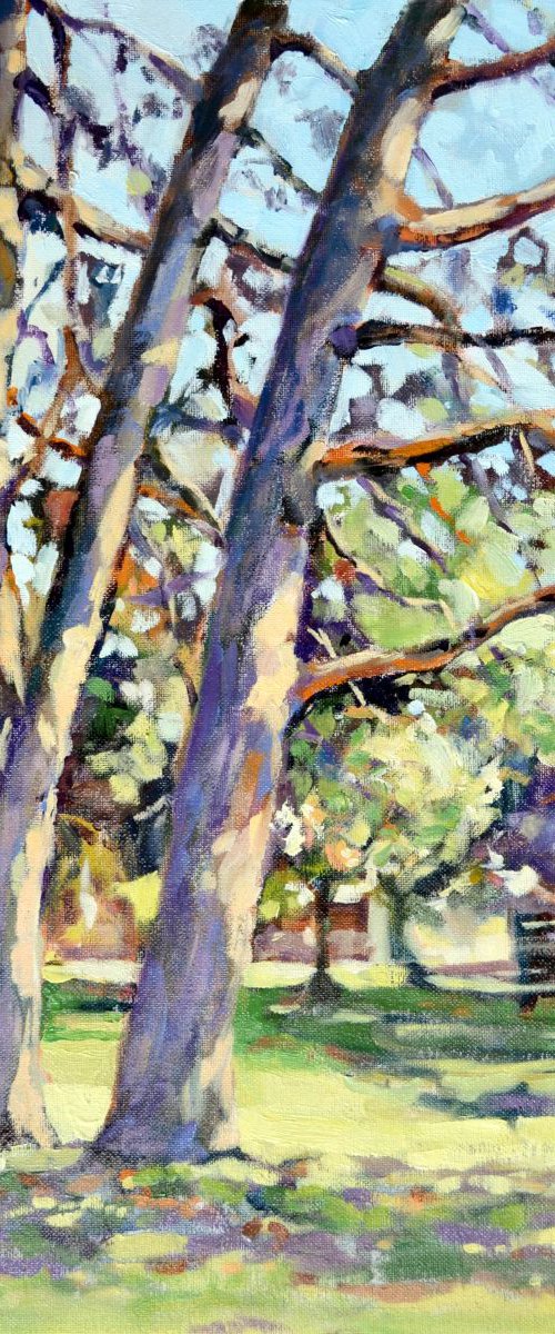 Pines. by Irina Ushakova
