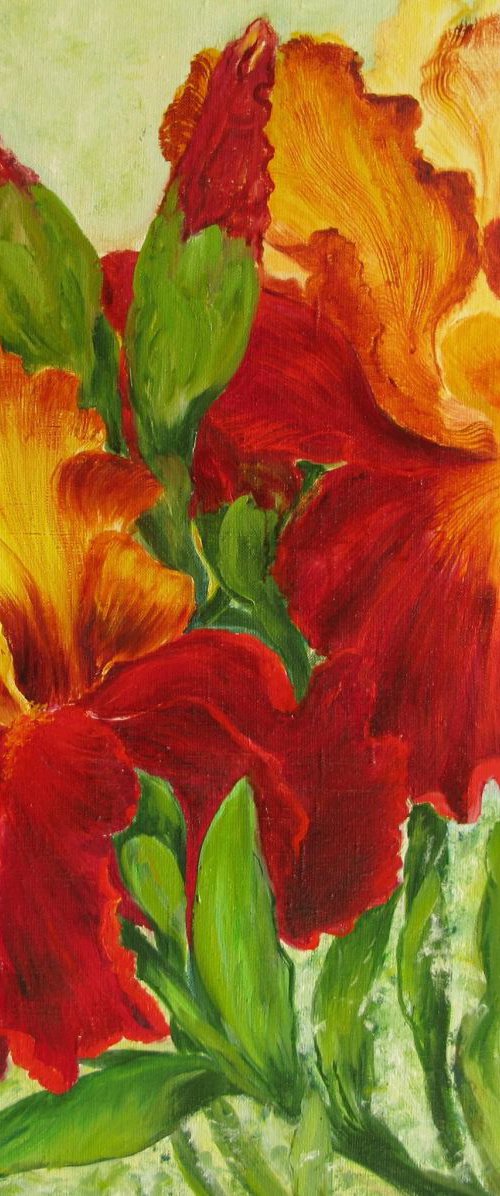 Oil painting flowers - Irises by Anna  Voloshyn